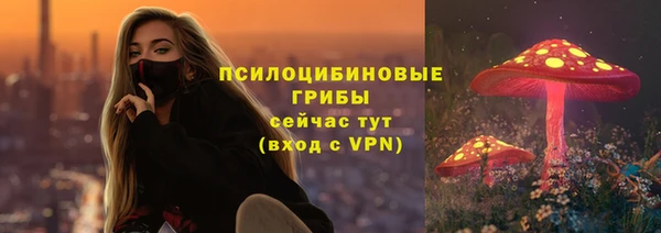 соль курить ск Алзамай