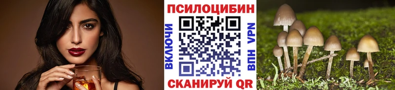 наркотики  Грайворон  Псилоцибиновые грибы мицелий 