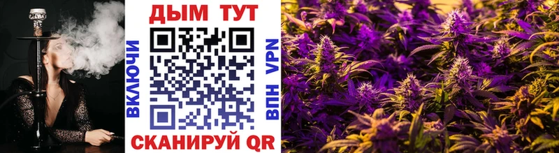 Бошки Шишки Ganja  дарнет шоп  Грайворон 